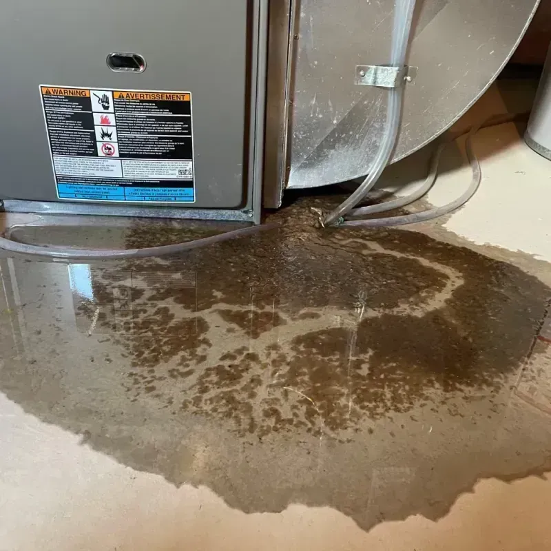 Appliance Leak Cleanup in Athens, NY